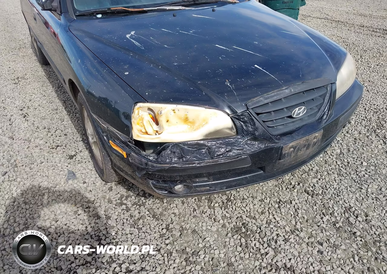 2005 Hyundai Elantra Gls-Gt VIN:KMHDN46D25U117630 - 6