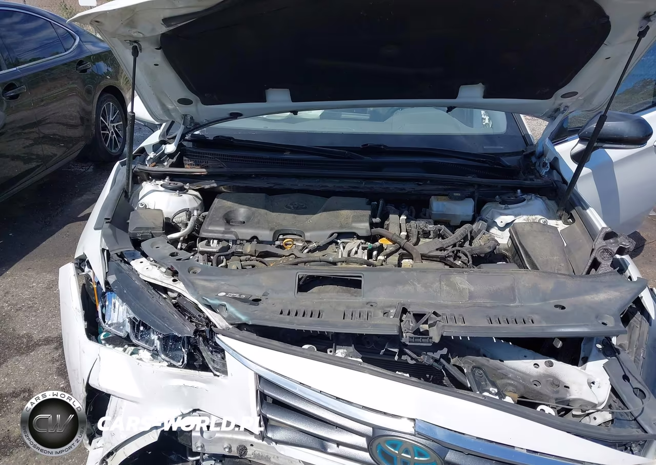 2019 Toyota Avalon Hybrid Xle VIN:4T1B21FBXKU001634 - 10