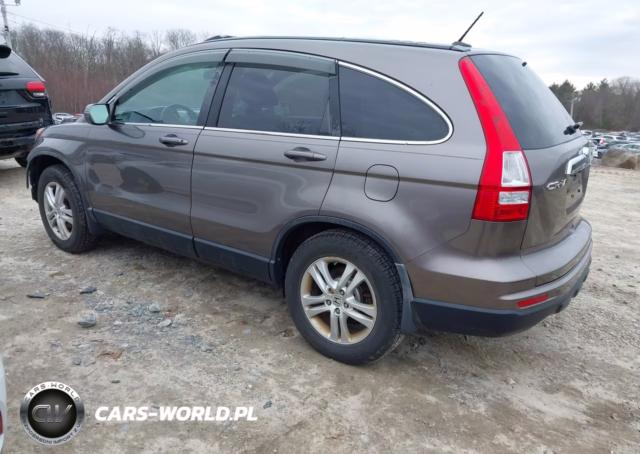 2010 Honda Cr-V Ex-L VIN:5J6RE4H73AL027981 - 3