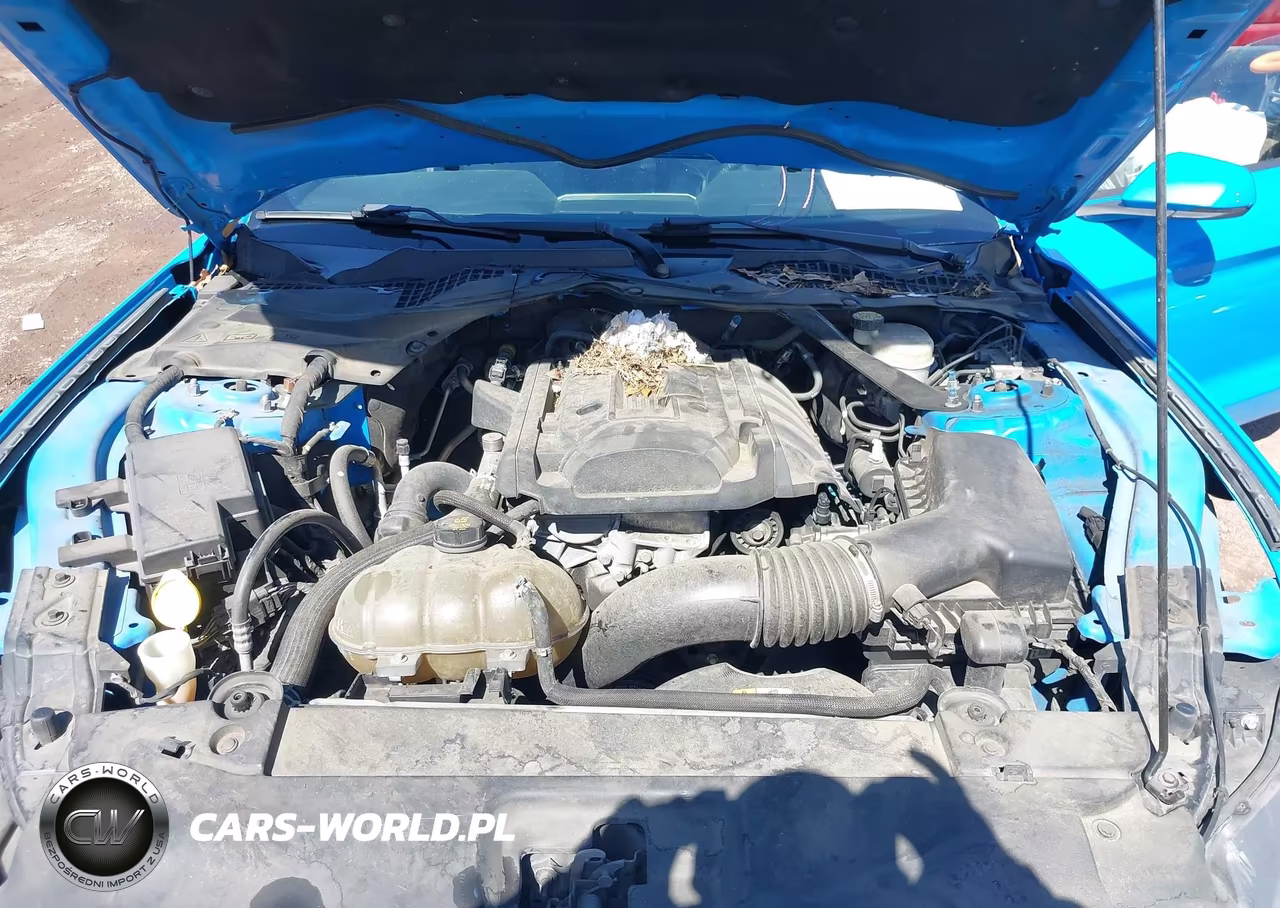 2017 Ford Mustang Ecoboost Premium VIN:1FATP8UH9H5278925 - 10