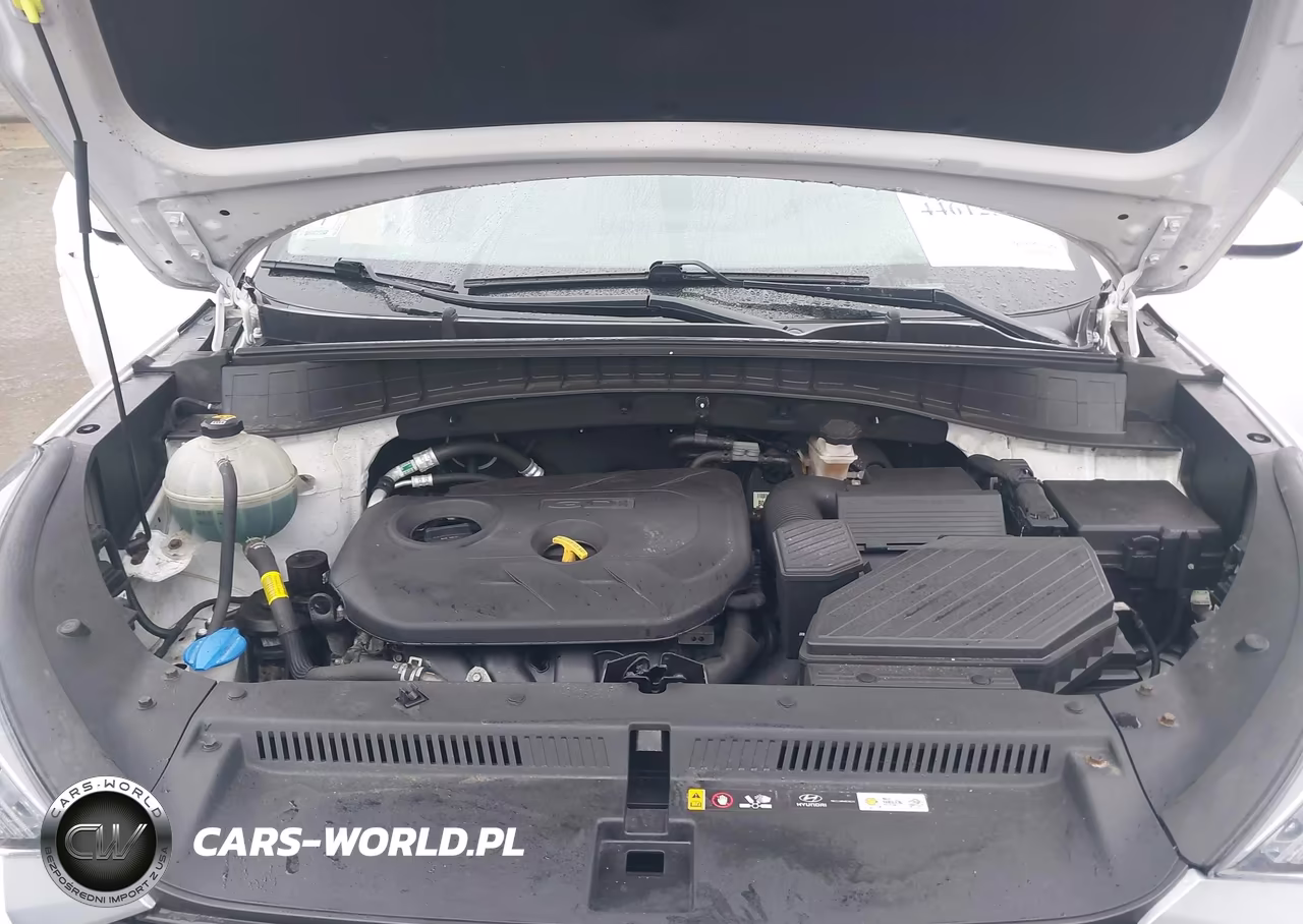 2019 Hyundai Tucson Se VIN:KM8J2CA44KU952332 - 10