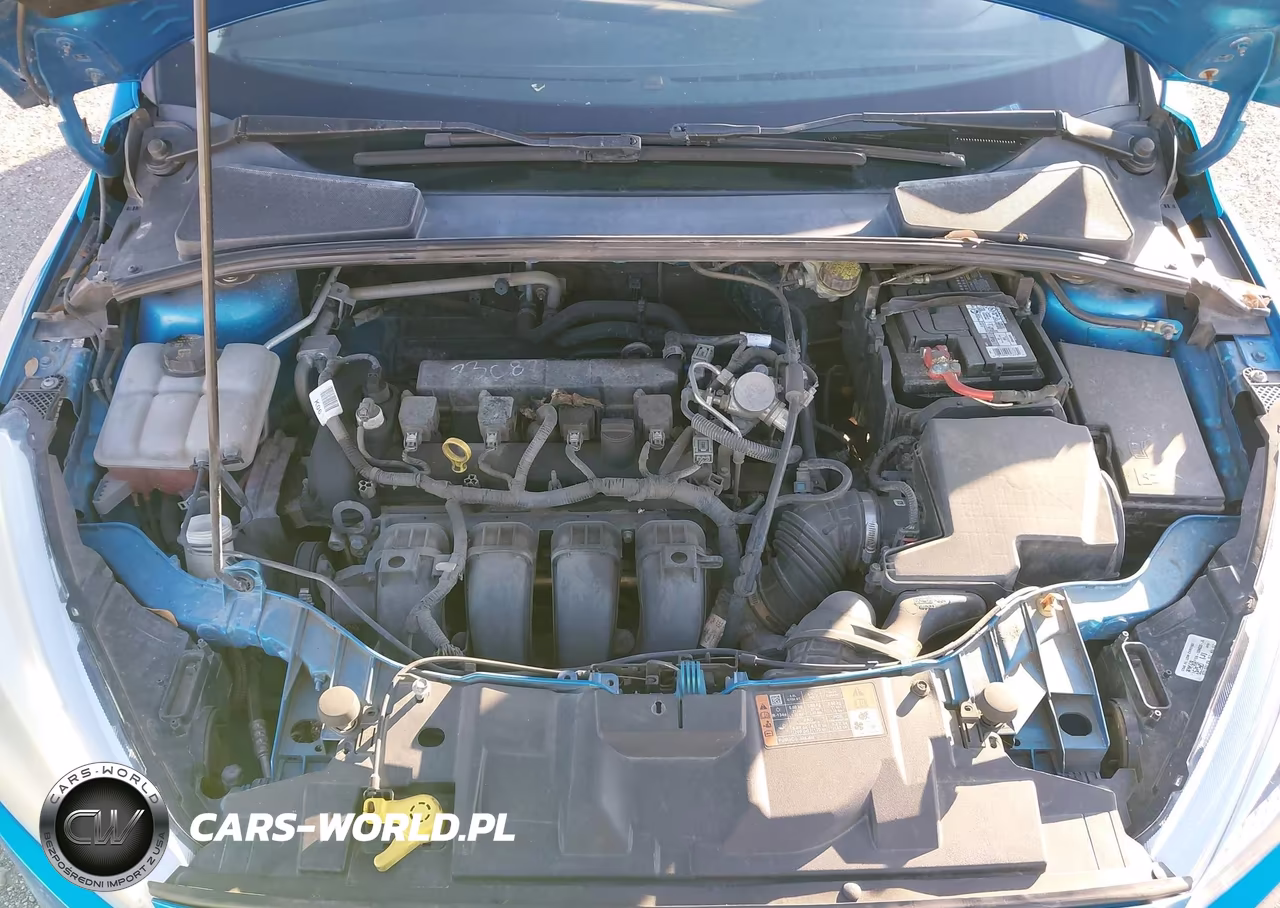 2015 Ford Focus Se VIN:1FADP3K24FL282007 - 10