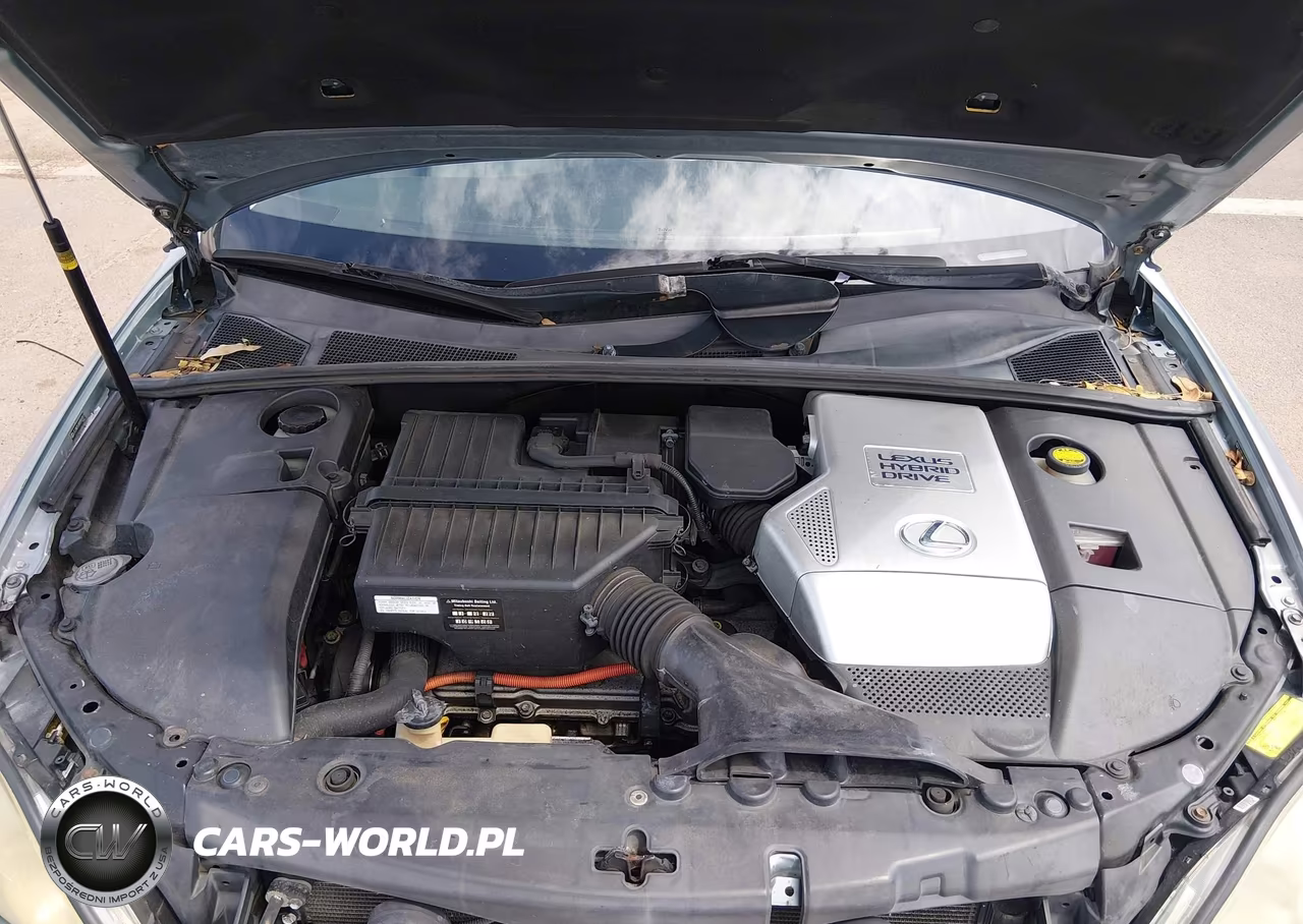 2008 Lexus Rx 400H VIN:JTJGW31UX82007017 - 10