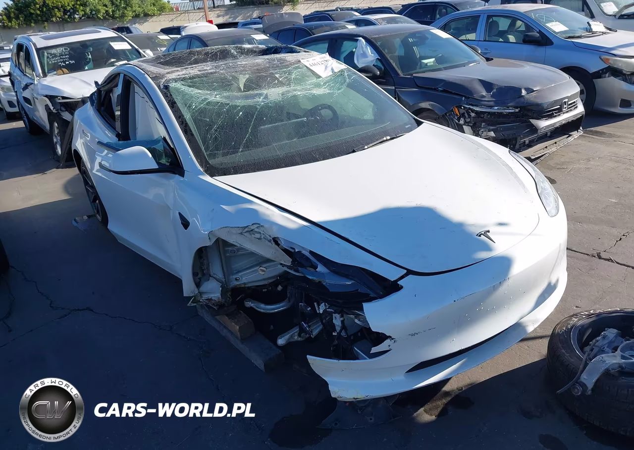 2023 Tesla Model 3 Rear-Wheel Drive