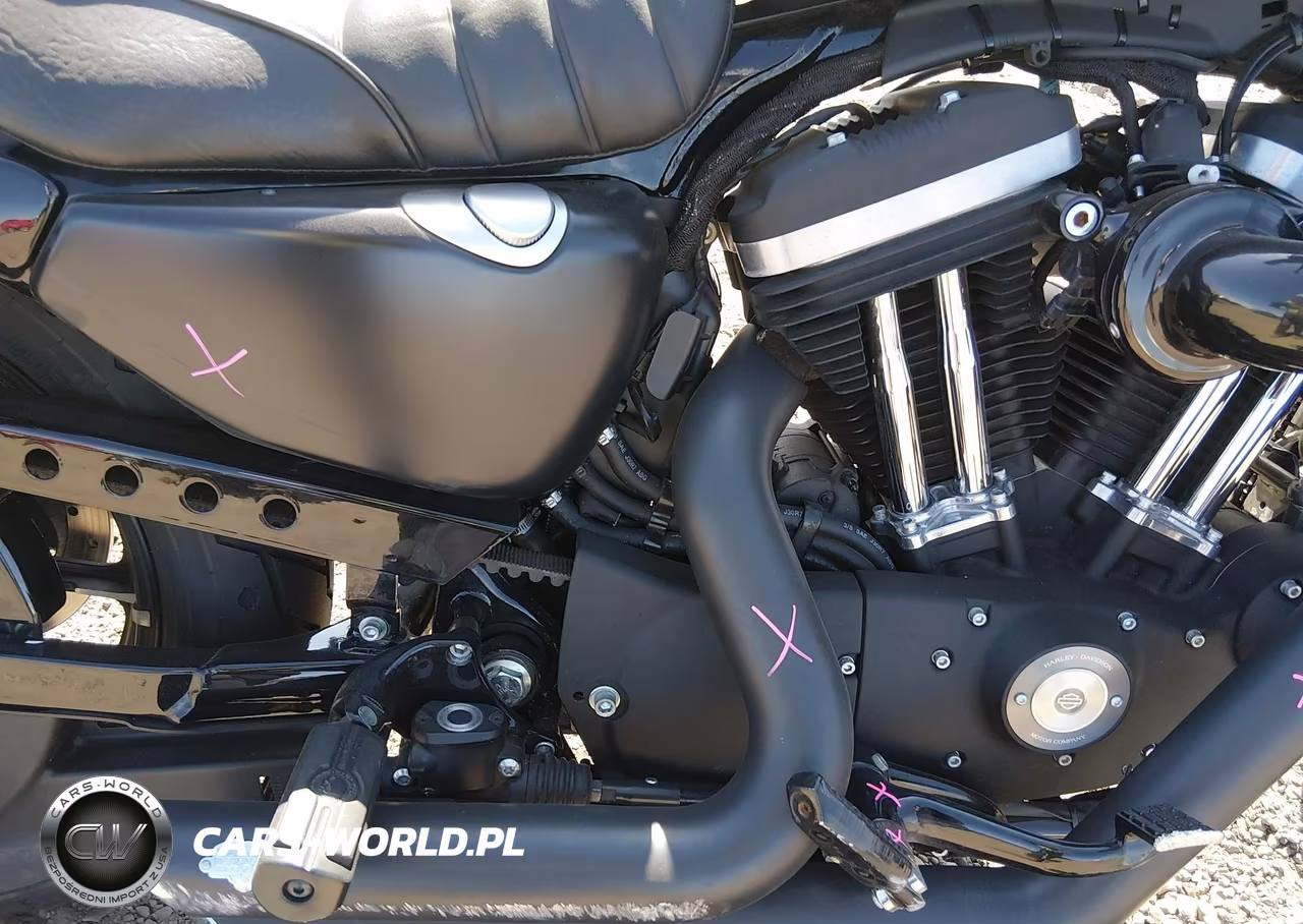 2019 Harley-Davidson Xl883 N VIN:1HD4LE219KC416205 - 8