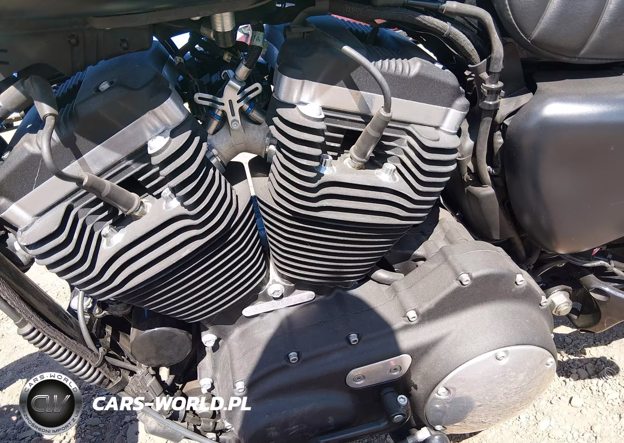 2019 Harley-Davidson Xl883 N VIN:1HD4LE219KC416205 - 9