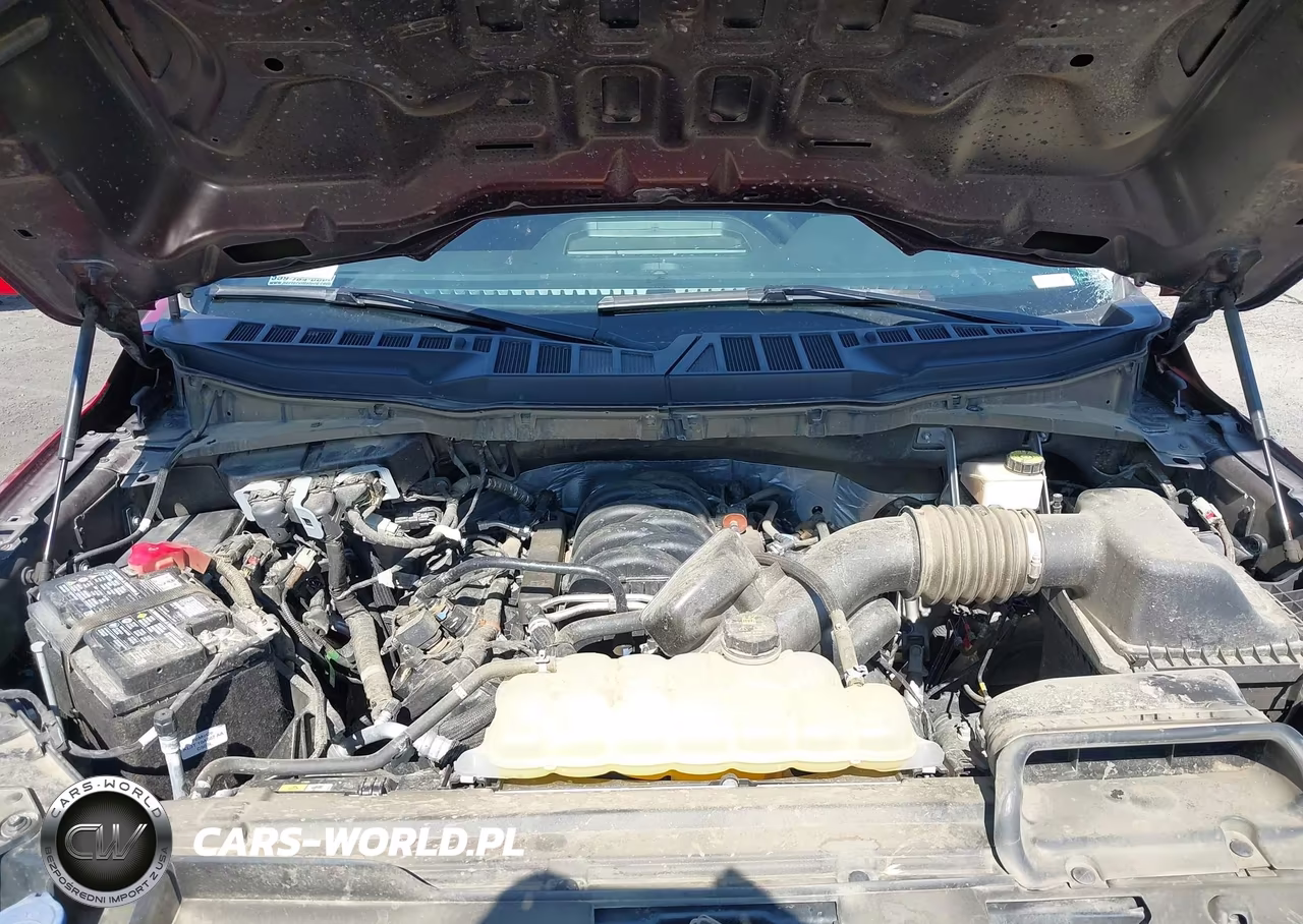 2024 Ford F-150 Stx VIN:1FTFW2L56RKF08423 - 10