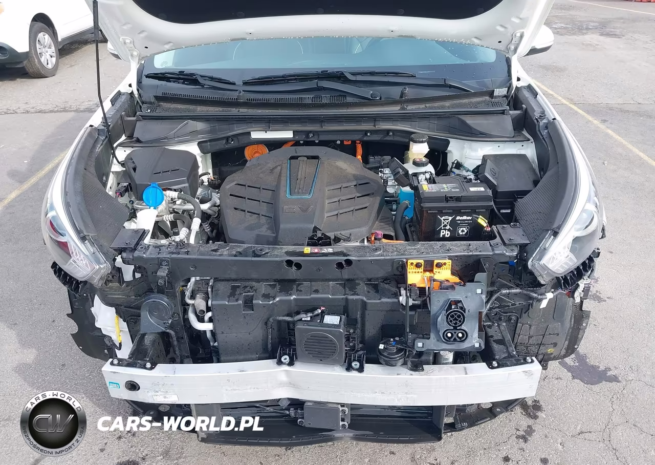 2022 Kia Niro Ev Ex VIN:KNDCC3LG5N5144359 - 10