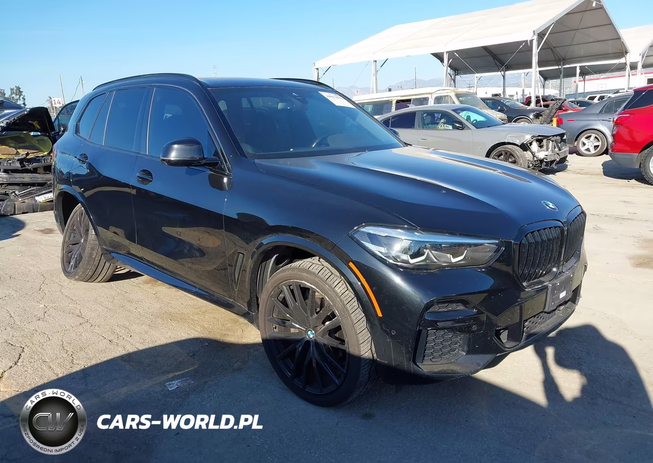 2023 BMW X5 Sdrive40I – zdjęcie 1 z 16