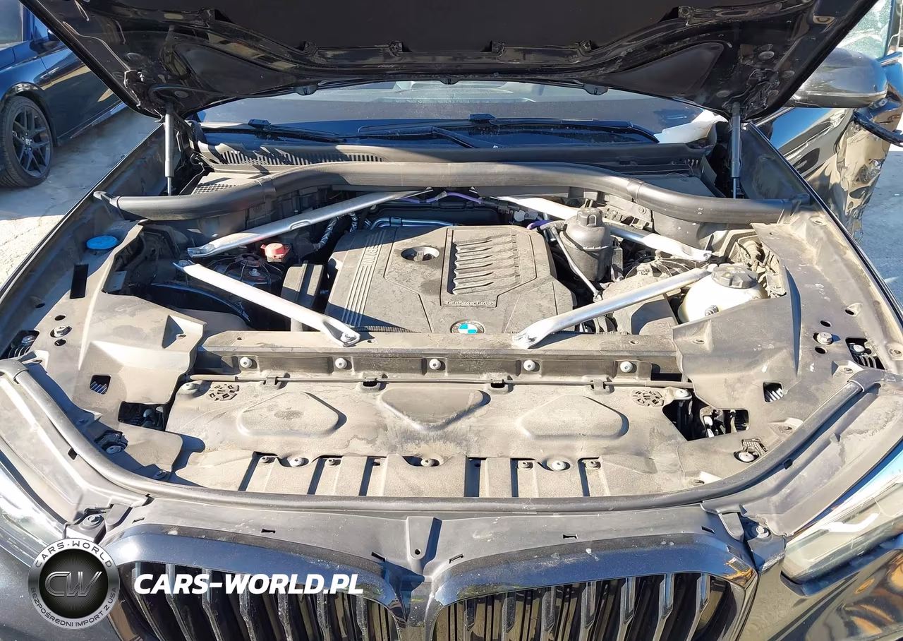 2023 BMW X5 Sdrive40I VIN:5UXCR4C08P9R18945 - 10