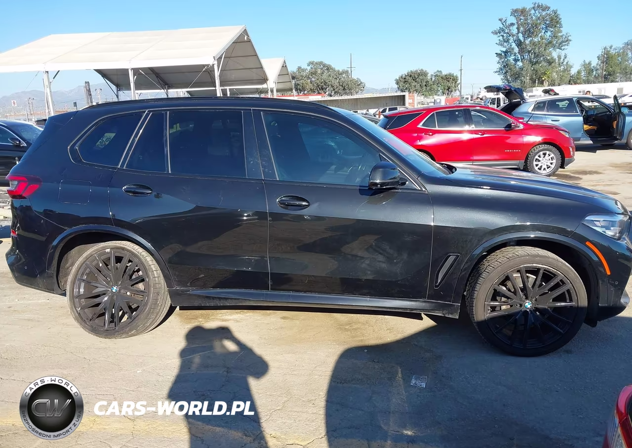 2023 BMW X5 Sdrive40I VIN:5UXCR4C08P9R18945 - 13