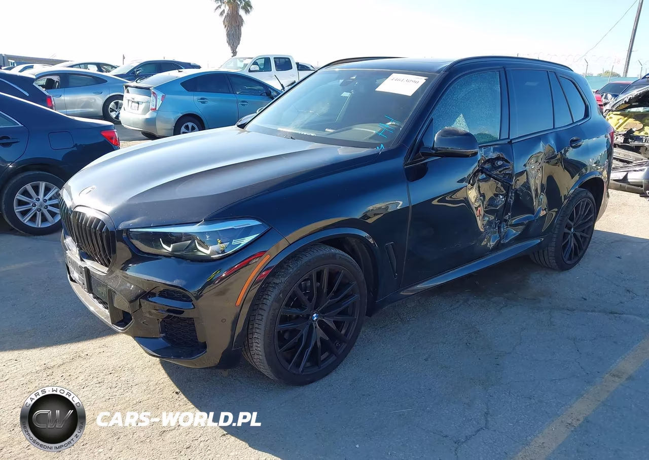 2023 BMW X5 Sdrive40I VIN:5UXCR4C08P9R18945 - 2