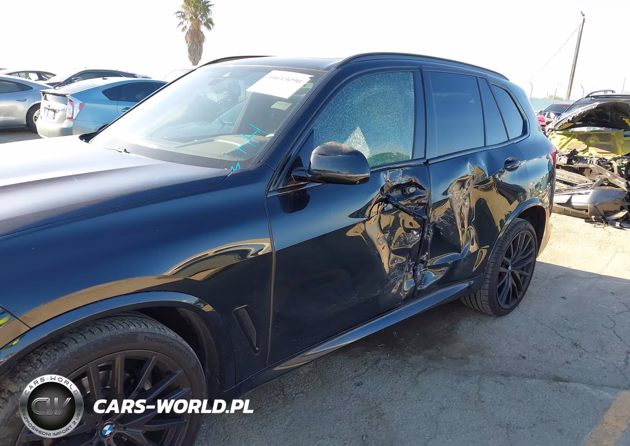 2023 BMW X5 Sdrive40I VIN:5UXCR4C08P9R18945 - 6