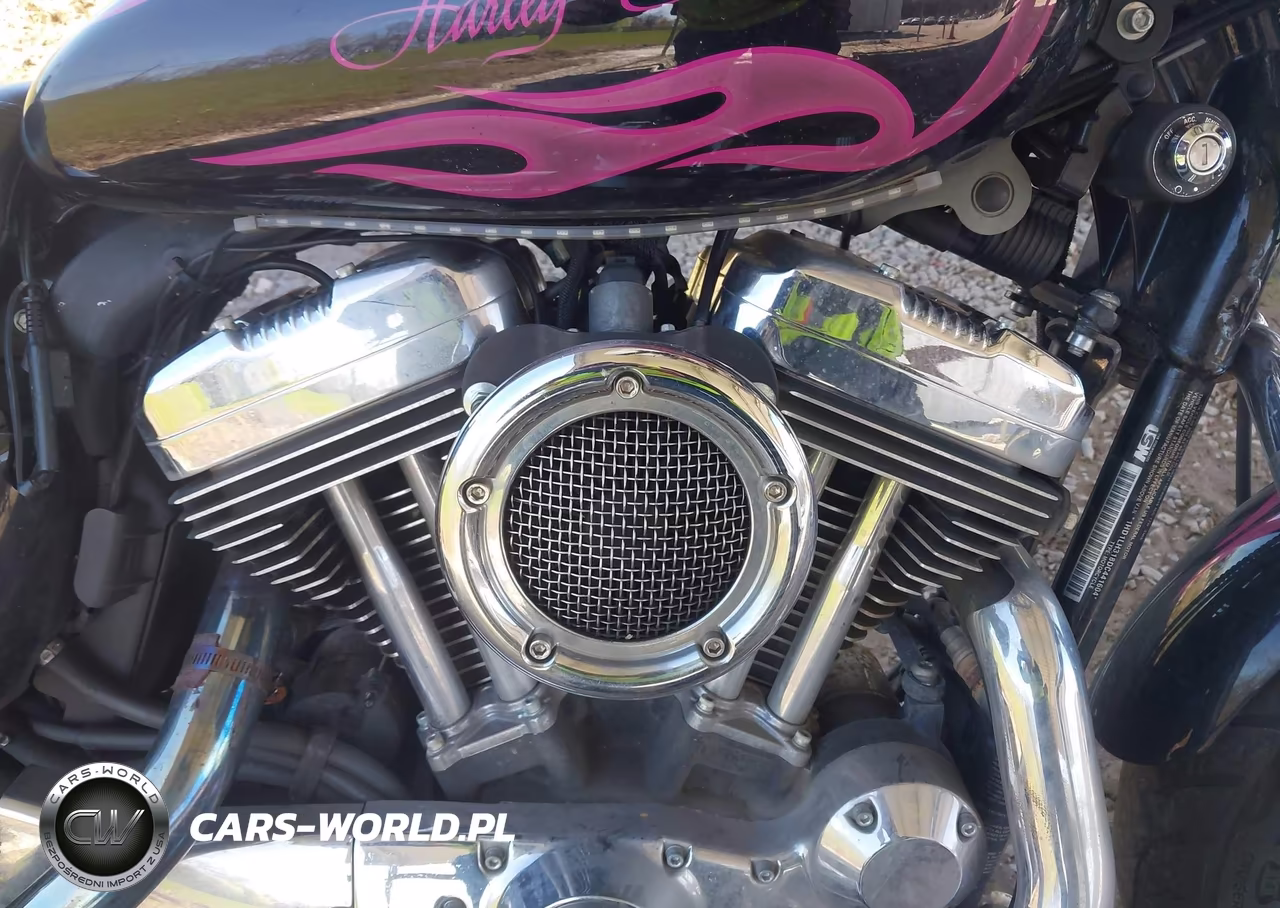 2013 Harley-Davidson Xl1200 Cp VIN:1HD1LH318DC441604 - 8