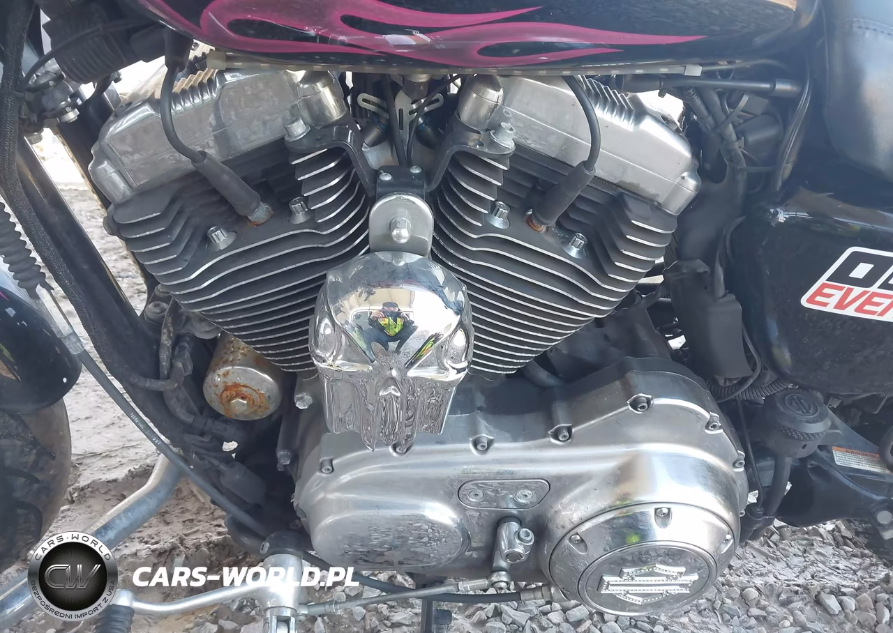 2013 Harley-Davidson Xl1200 Cp VIN:1HD1LH318DC441604 - 9