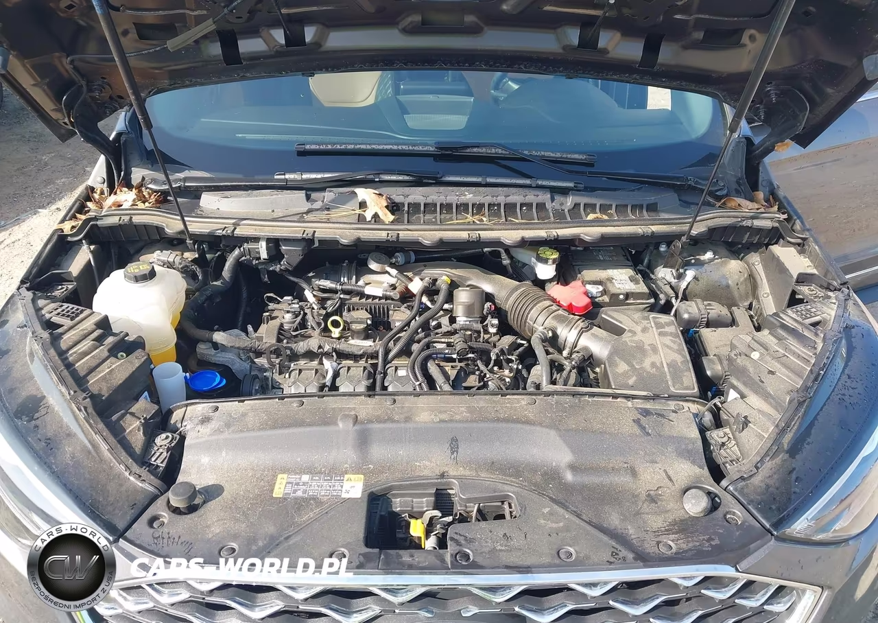 2024 Ford Edge Titanium VIN:2FMPK4K97RBB04455 - 10