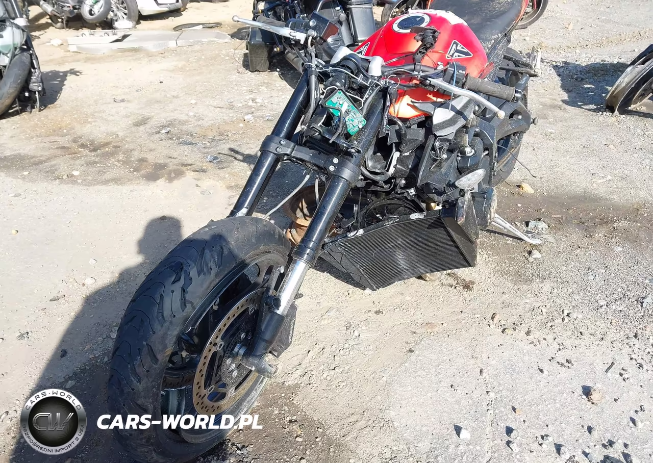 2025 Triumph Motorcycle Street Triple 765 R VIN:SMTA604SXSTCB0024 - 15