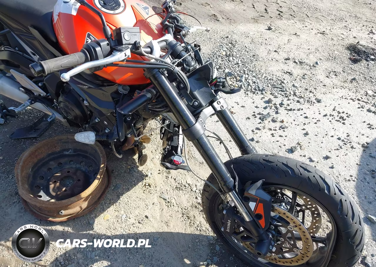 2025 Triumph Motorcycle Street Triple 765 R VIN:SMTA604SXSTCB0024 - 19
