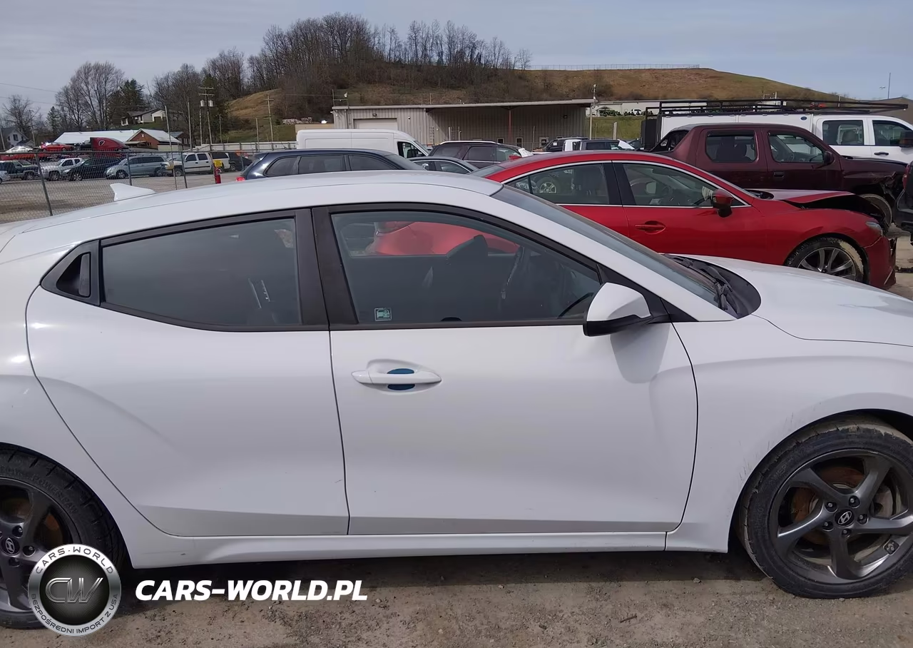 2019 Hyundai Veloster 2.0 VIN:KMHTG6AF9KU016946 - 13