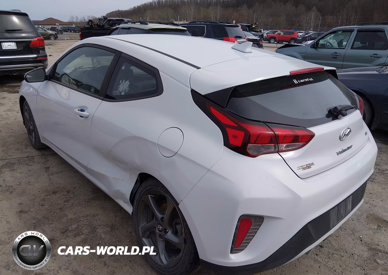 2019 Hyundai Veloster 2.0 VIN:KMHTG6AF9KU016946 - 3