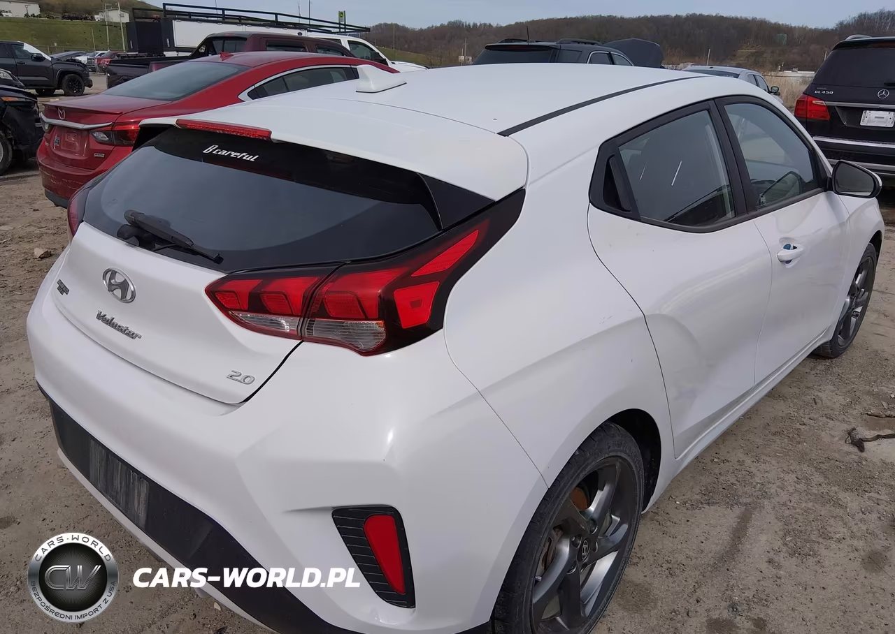 2019 Hyundai Veloster 2.0 VIN:KMHTG6AF9KU016946 - 4