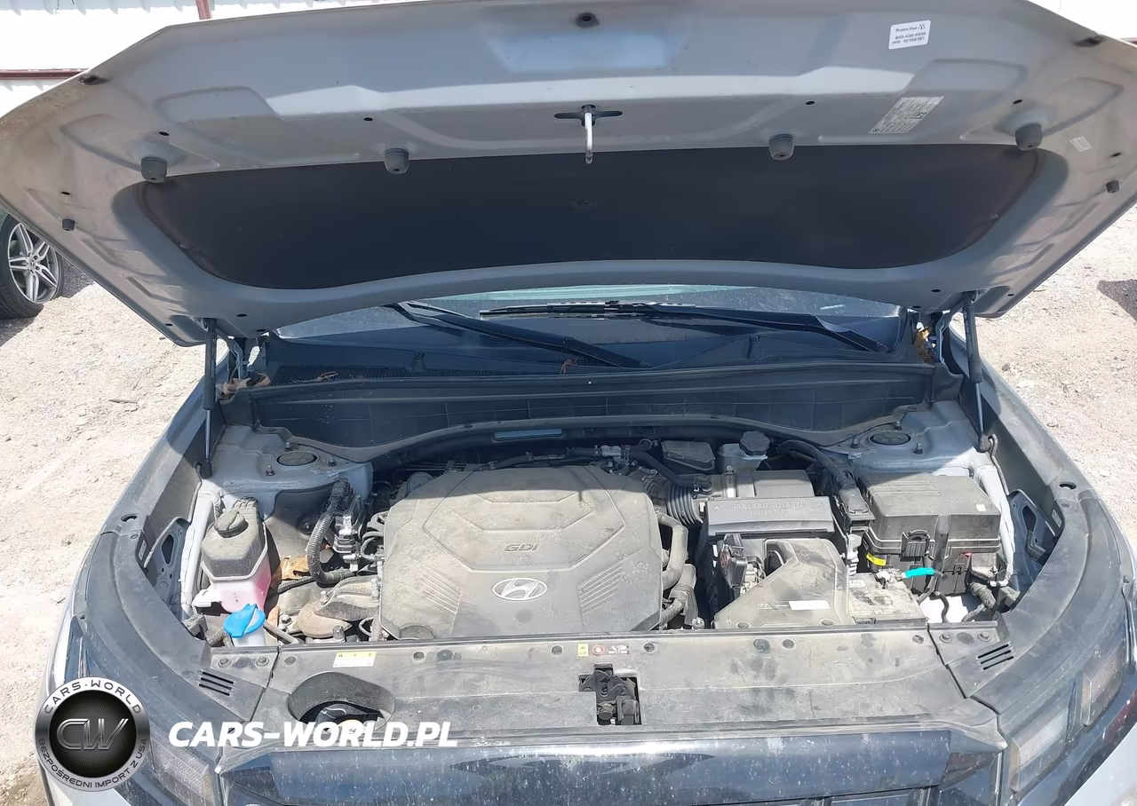 2023 Hyundai Palisade Sel VIN:KM8R24GE1PU573532 - 10