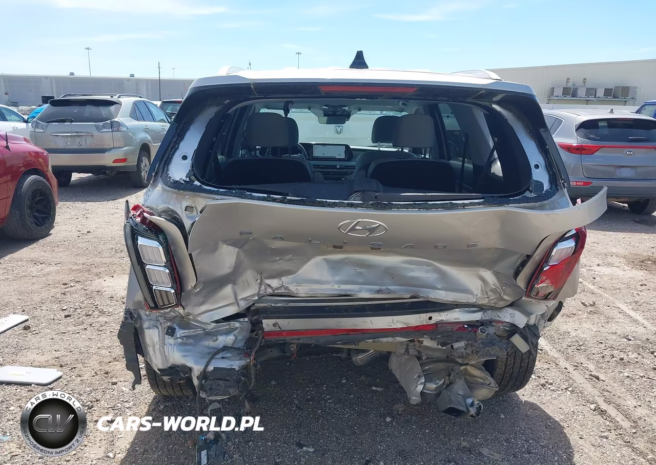 2023 Hyundai Palisade Sel VIN:KM8R24GE1PU573532 - 6