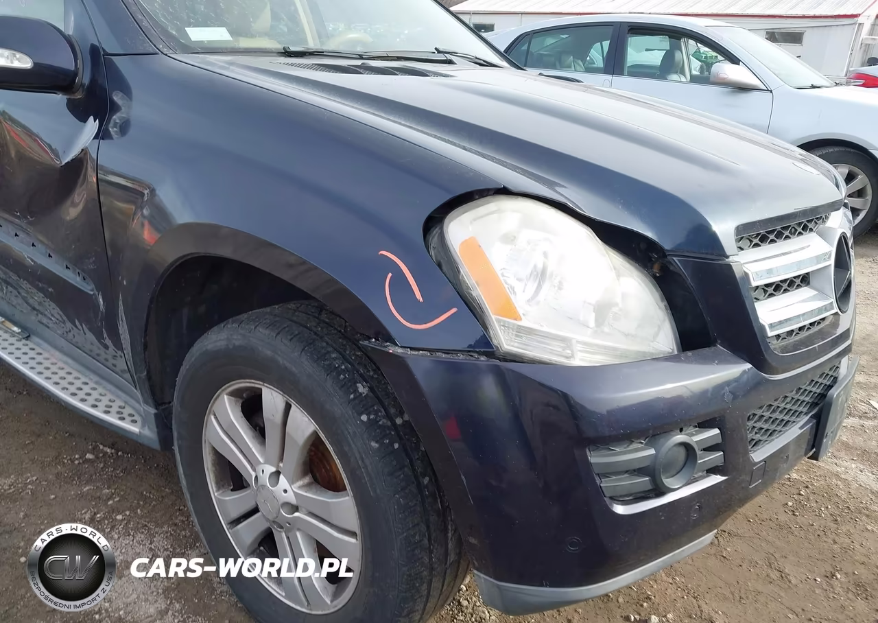 2008 Mercedes-Benz Gl 450 4Matic VIN:4JGBF71E78A431141 - 12