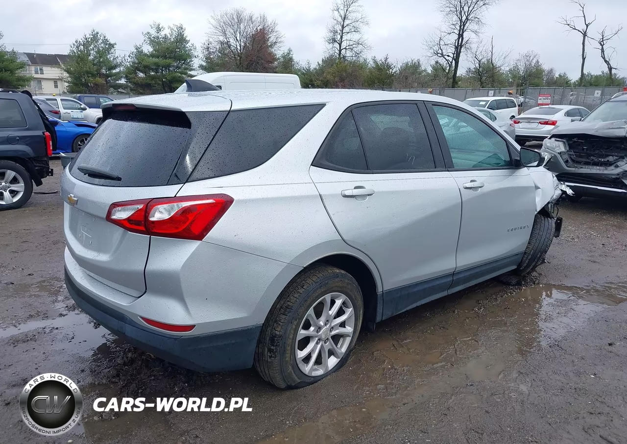 2020 Chevrolet Equinox Fwd Ls VIN:3GNAXHEV3LS576804 - 4
