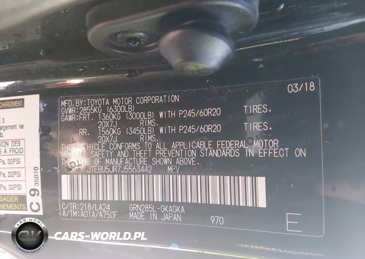 2018 Toyota 4Runner Limited VIN:JTEBU5JR7J5563442 - 9