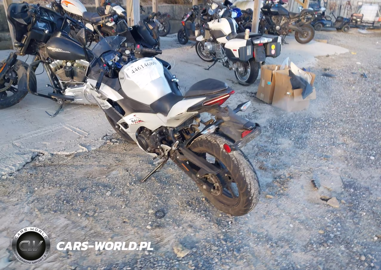 2024 Kawasaki Ex500 VIN:ML5EXGG12RDA30953 - 3