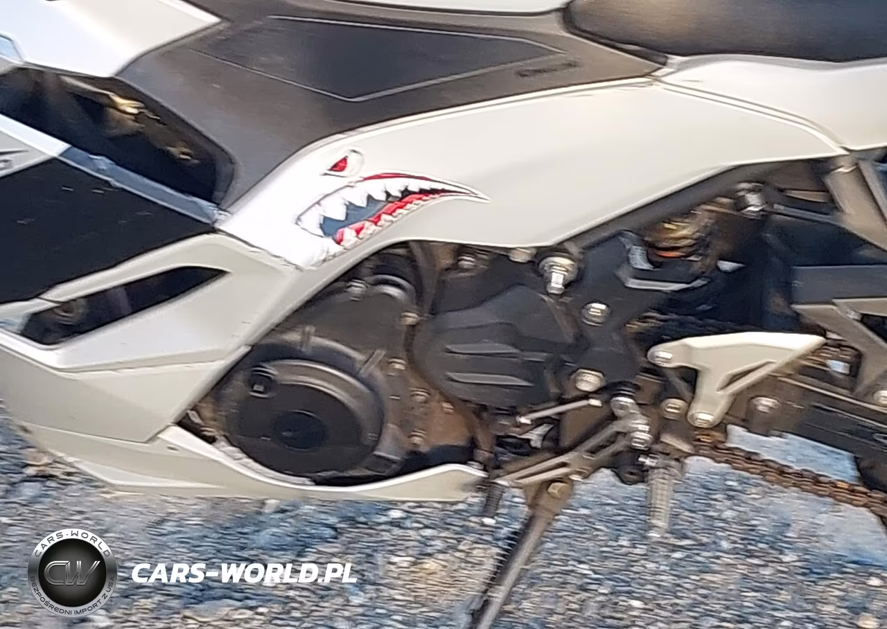 2024 Kawasaki Ex500 VIN:ML5EXGG12RDA30953 - 9