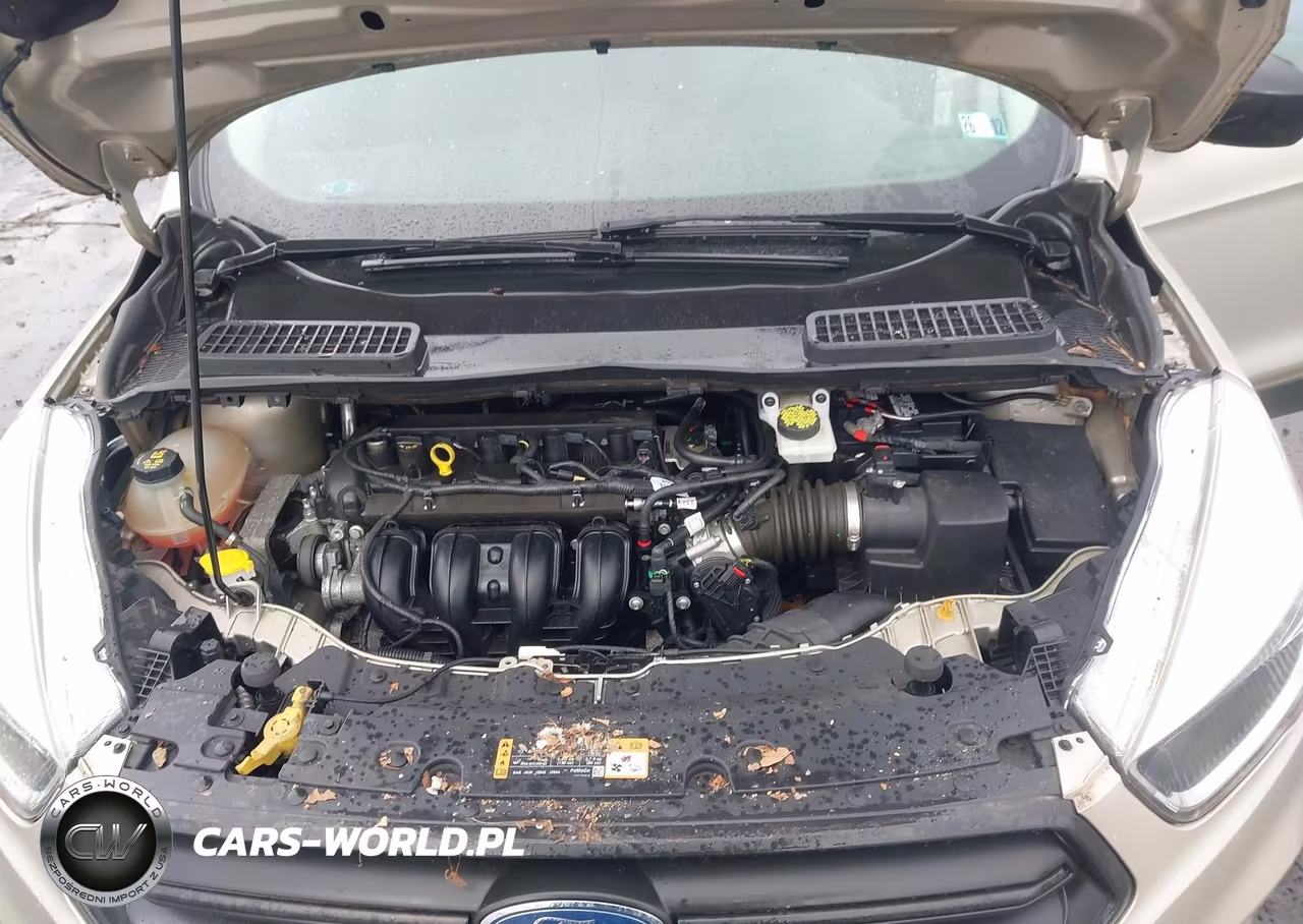 2017 Ford Escape S VIN:1FMCU0F72HUF00442 - 10