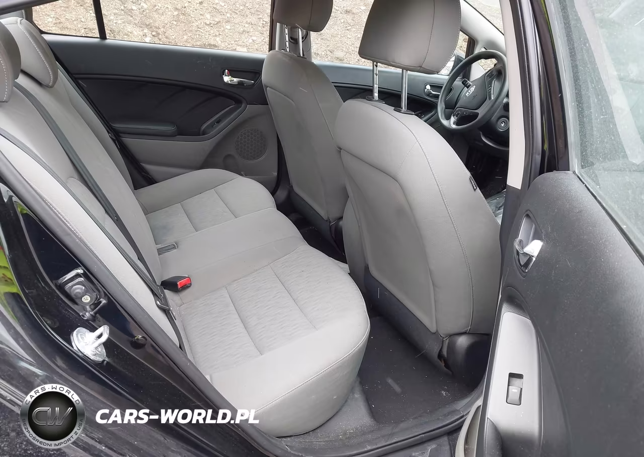 2016 Kia Forte Lx VIN:KNAFK4A62G5520239 - 8