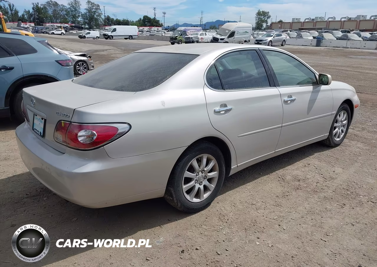 2002 Lexus Es 300 VIN:JTHBF30G820063662 - 4