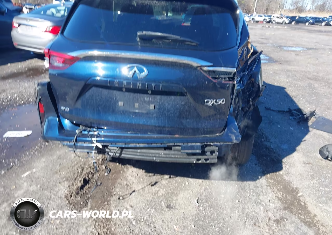 2019 Infiniti Qx50 Essential VIN:3PCAJ5M3XKF127362 - 17