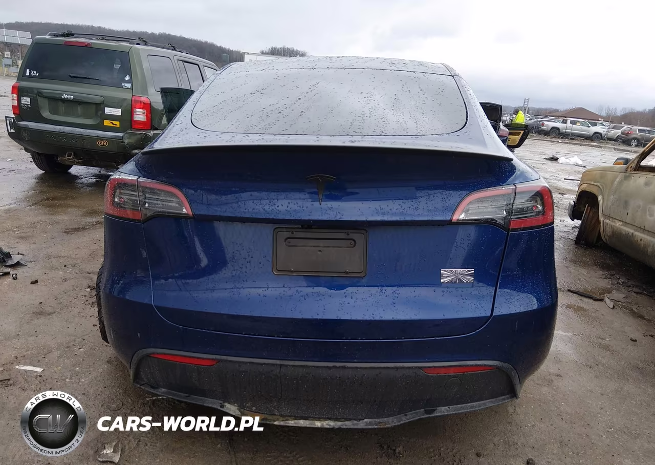 2024 Tesla Model Y Performance Dual Motor All-Wheel Drive VIN:7SAYGDEF9RF169843 - 18