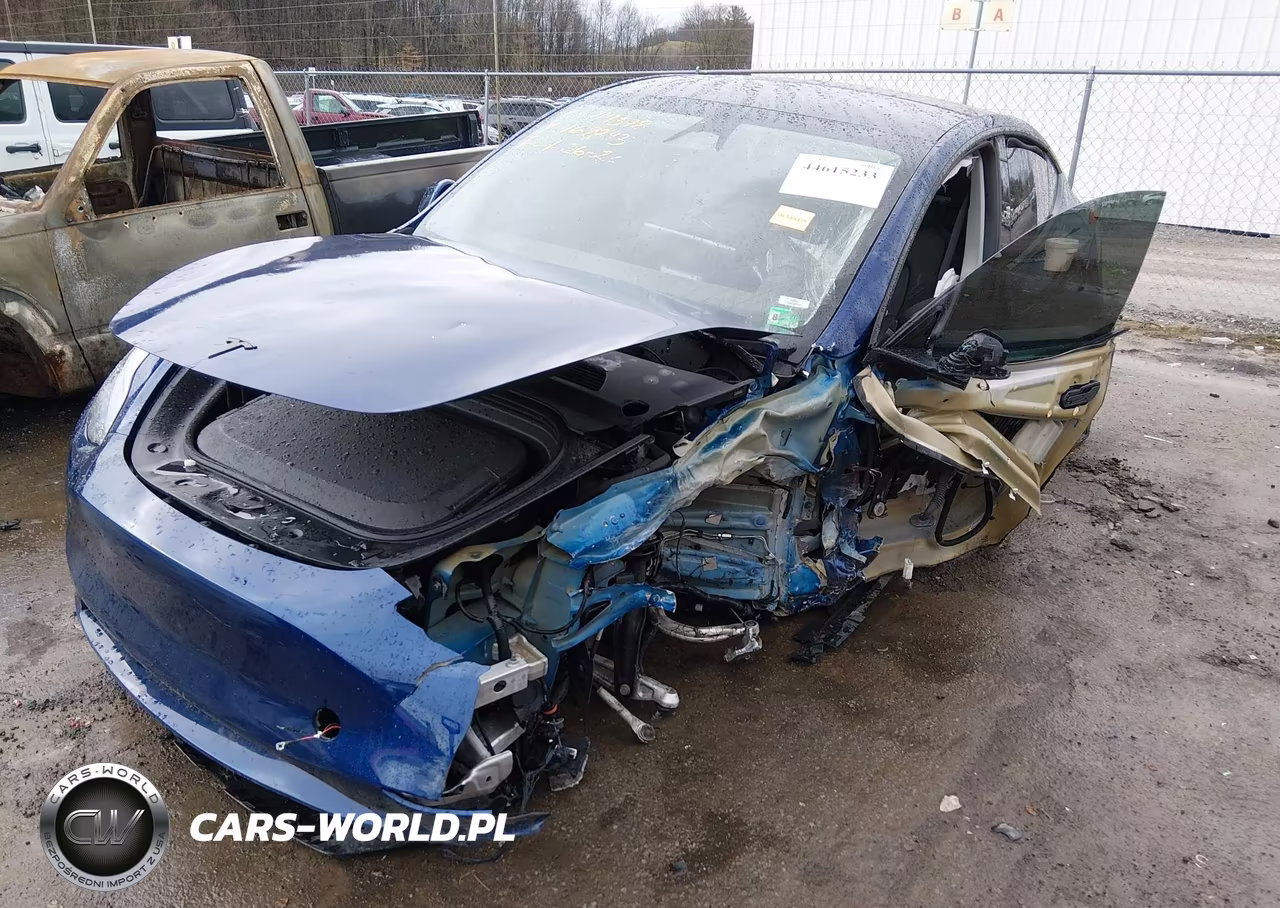 2024 Tesla Model Y Performance Dual Motor All-Wheel Drive VIN:7SAYGDEF9RF169843 - 2