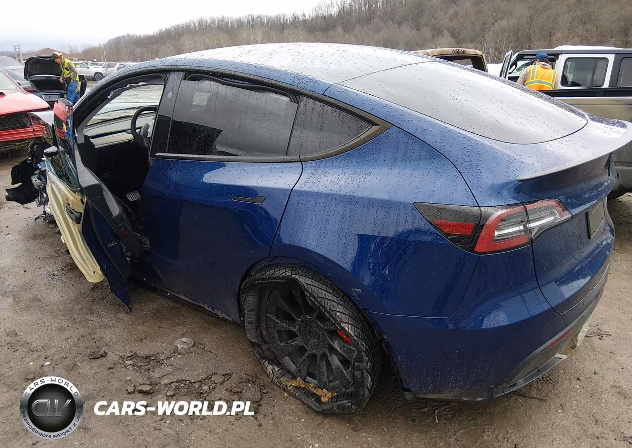 2024 Tesla Model Y Performance Dual Motor All-Wheel Drive VIN:7SAYGDEF9RF169843 - 3