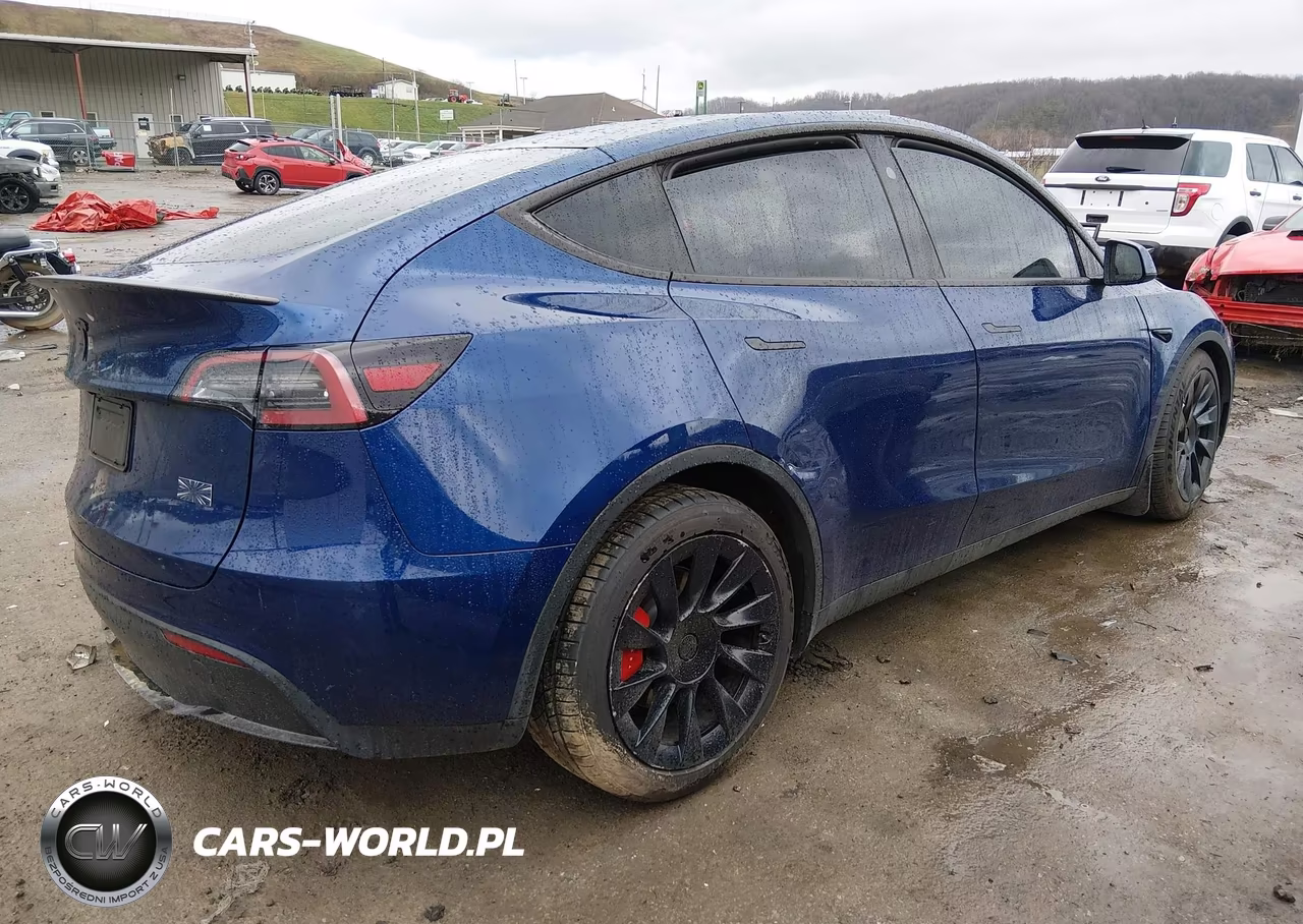 2024 Tesla Model Y Performance Dual Motor All-Wheel Drive VIN:7SAYGDEF9RF169843 - 4