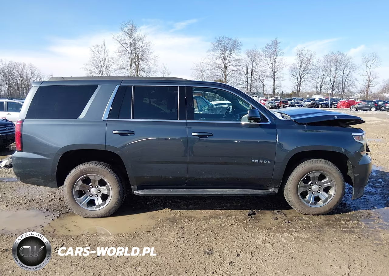 2019 Chevrolet Tahoe Ls VIN:1GNSKAKC9KR323971 - 13
