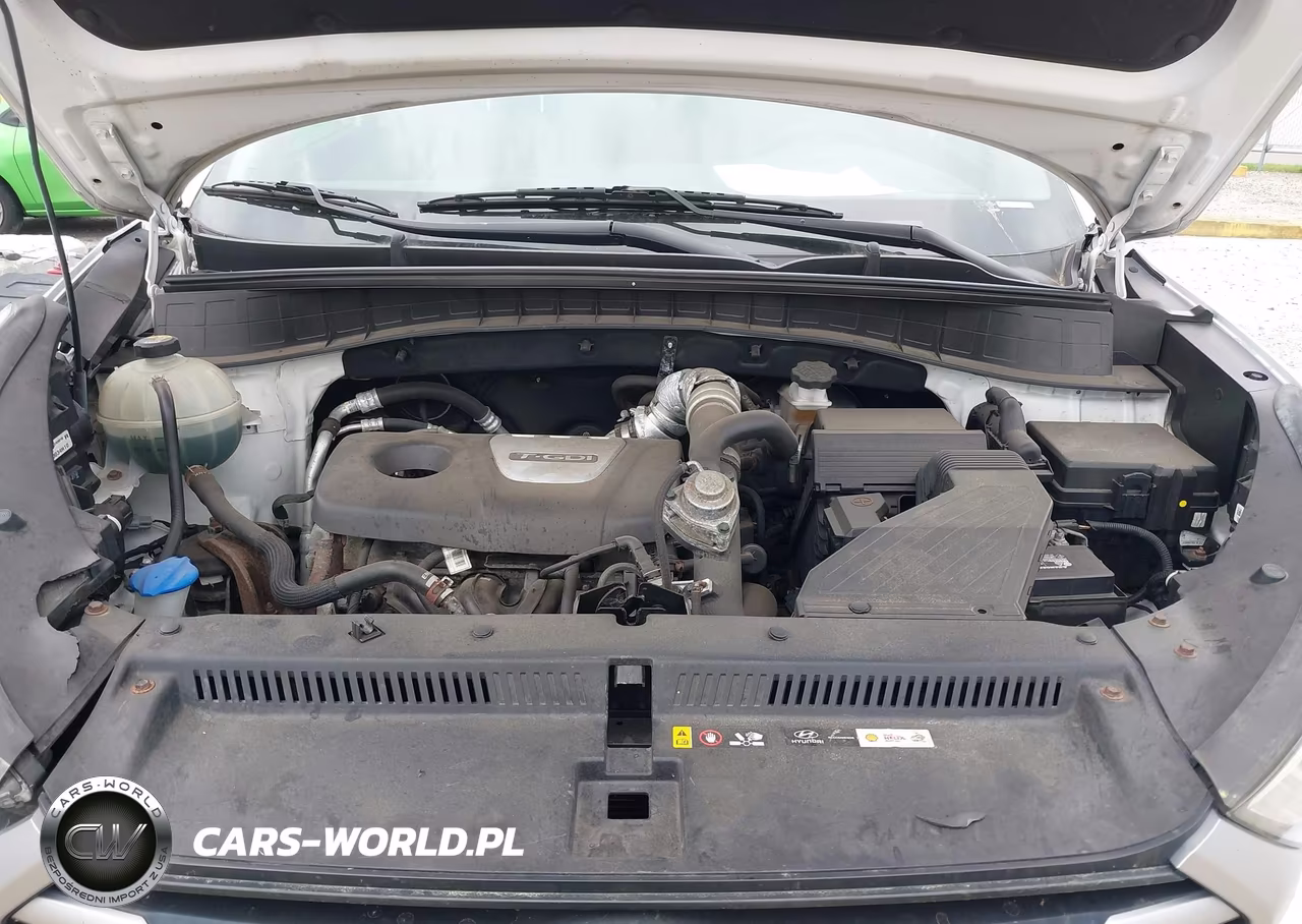 2017 Hyundai Tucson Limited-Sport And Eco-Se VIN:KM8J3CA26HU325569 - 10