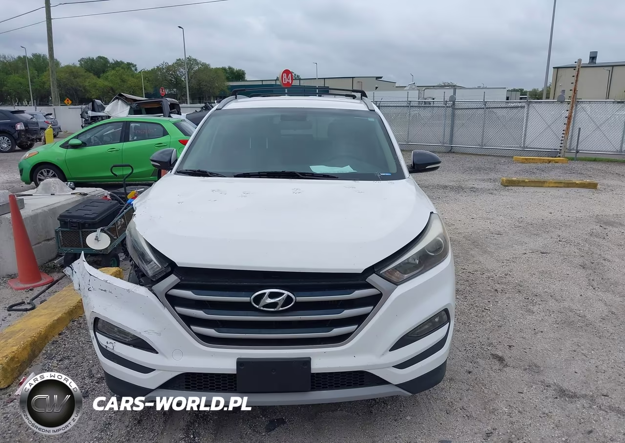 2017 Hyundai Tucson Limited-Sport And Eco-Se VIN:KM8J3CA26HU325569 - 12