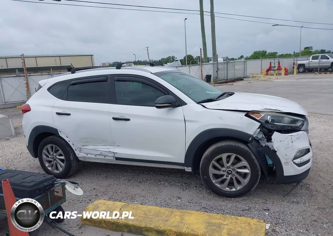 2017 Hyundai Tucson Limited-Sport And Eco-Se VIN:KM8J3CA26HU325569 - 13
