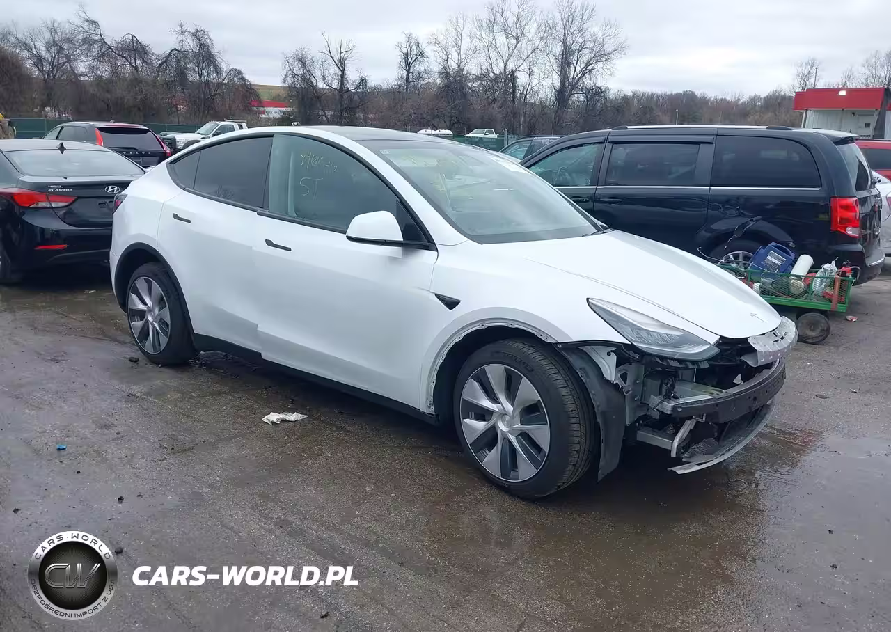 2020 Tesla Model Y Long Range Dual Motor All-Wheel Drive