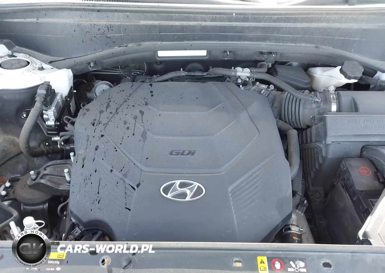 2020 Hyundai Palisade Limited VIN:KM8R5DHE0LU132474 - 10