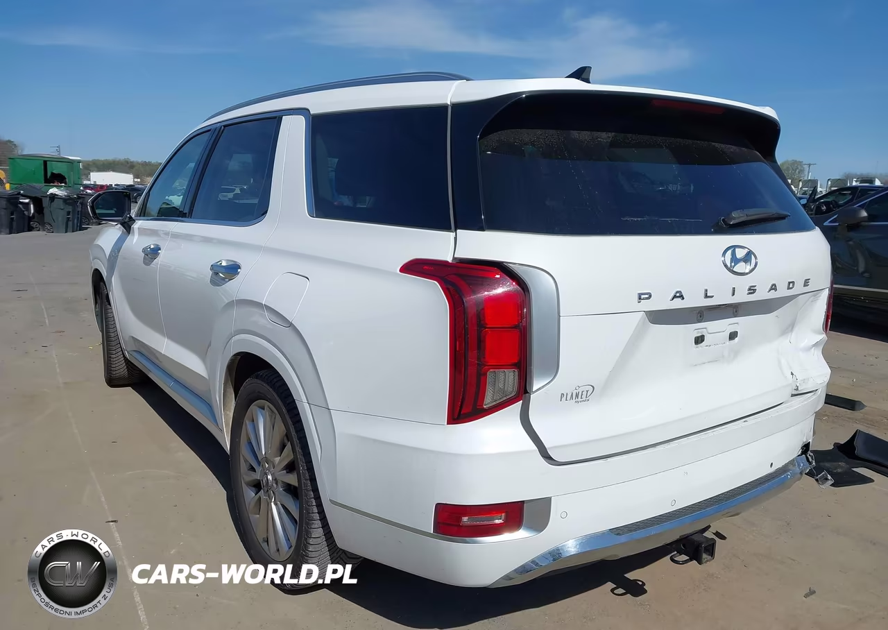2020 Hyundai Palisade Limited VIN:KM8R5DHE0LU132474 - 3