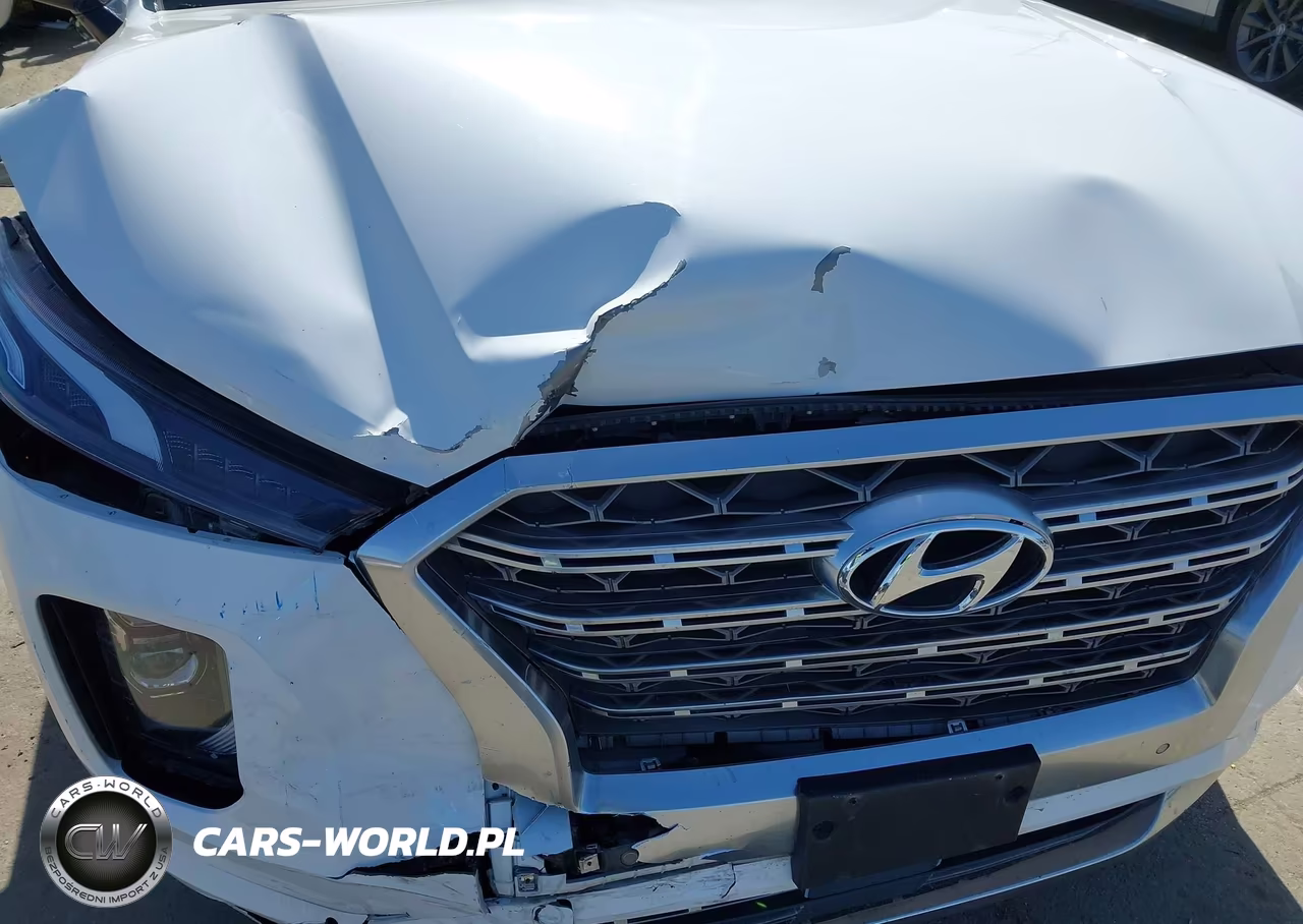 2020 Hyundai Palisade Limited VIN:KM8R5DHE0LU132474 - 6