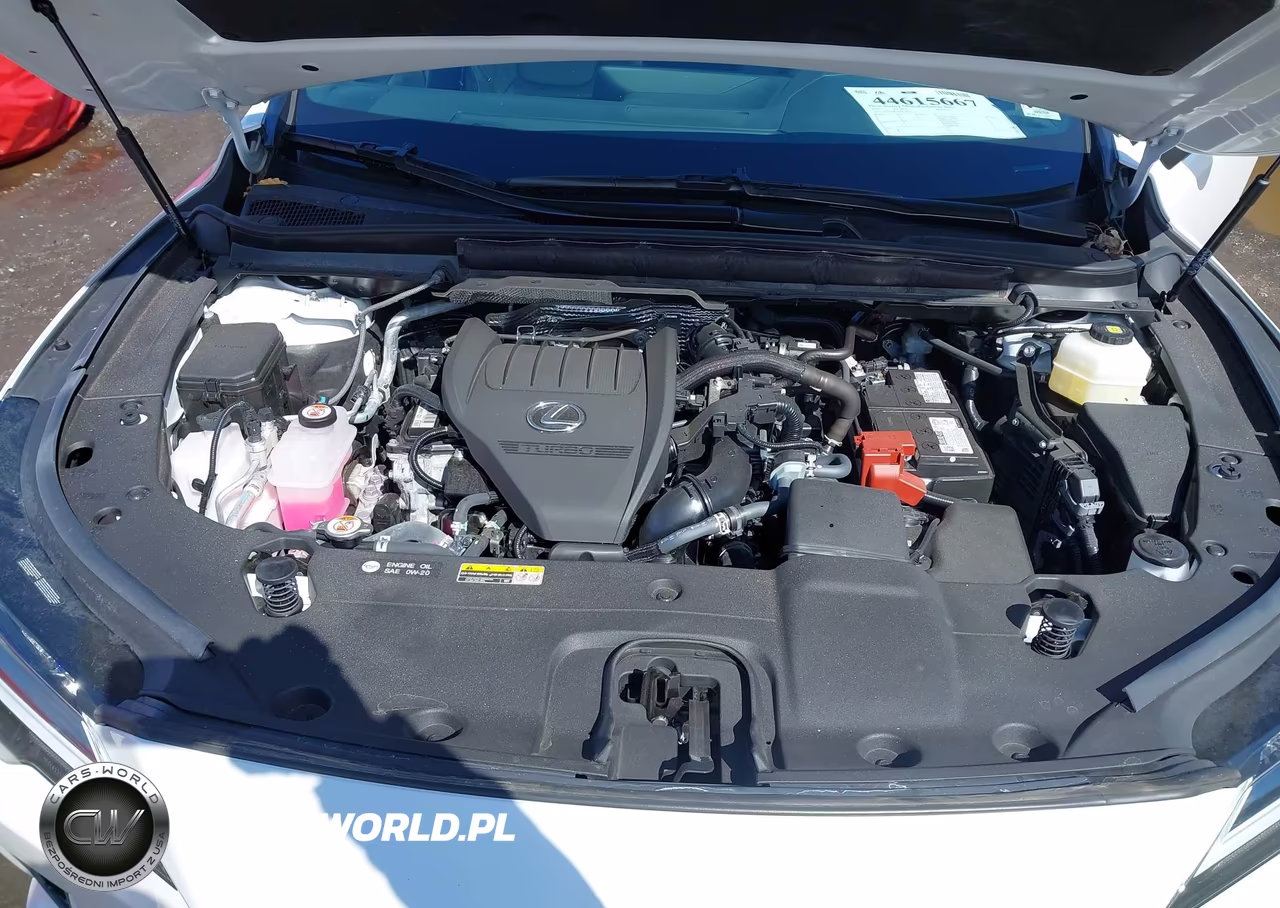 2025 Lexus Rx 350 Premium VIN:2T2BAMCA1SC106222 - 10
