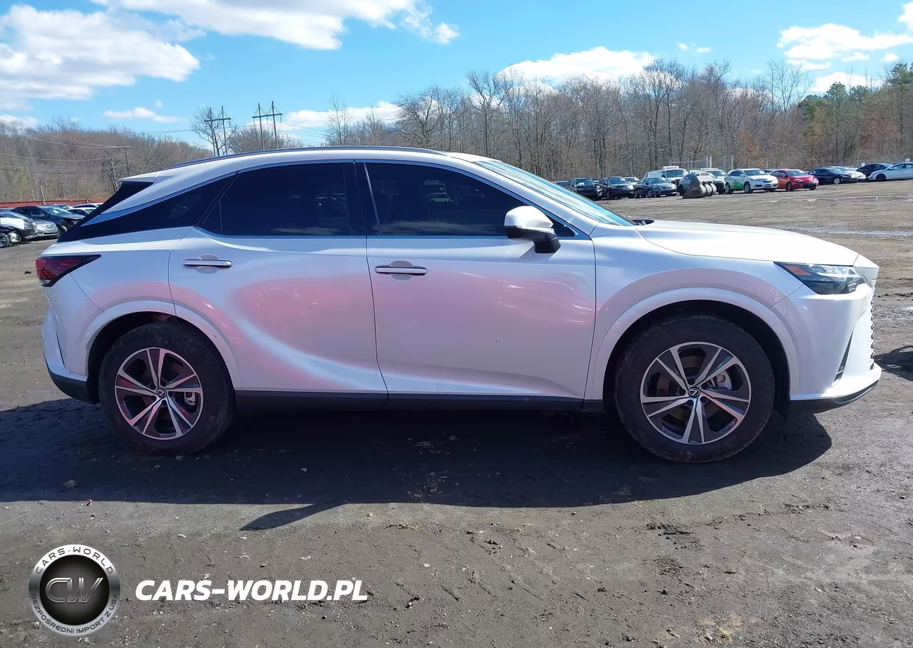 2025 Lexus Rx 350 Premium VIN:2T2BAMCA1SC106222 - 13